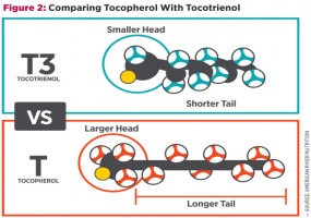 Tocotrienols vs Tocopherols
