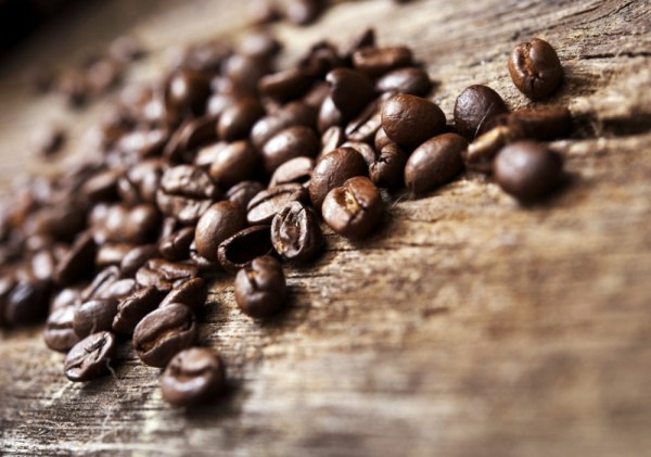 ENEMA THERA COFFEE: THE MOST PREMIUM & BEST ORGANIC COFFEE