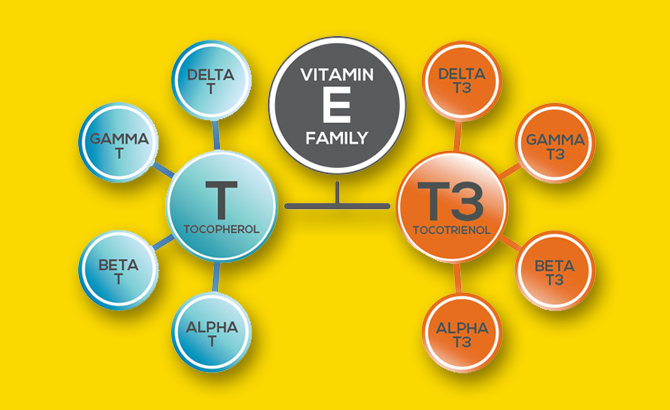 Vitamin E Family